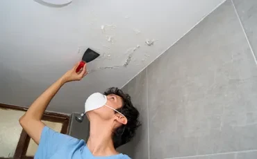 Best Damp Proofing Services in USA