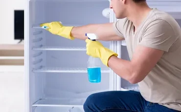 Best Fridge Cleaning Services in USA