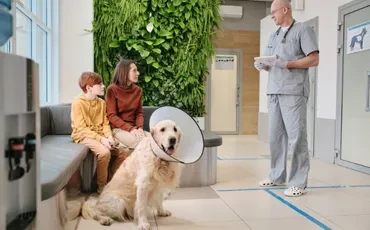 Best Vet Appointment Booking Services in USA